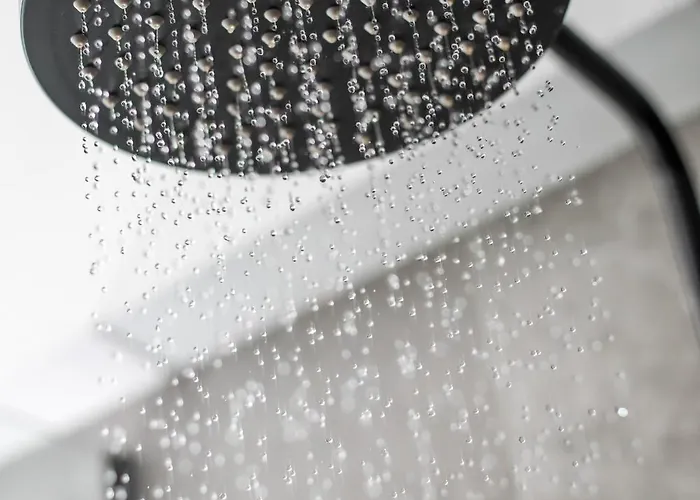 Hotel Jimmy's Garden