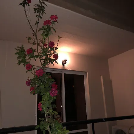 Jimmy's Garden Hotel