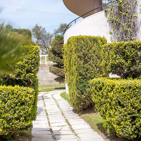 Jimmy's Garden Hotel 3*