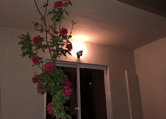 Jimmy's Garden Hotel