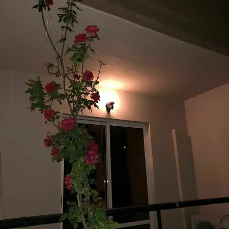 Hotel Jimmy's Garden Faliraki